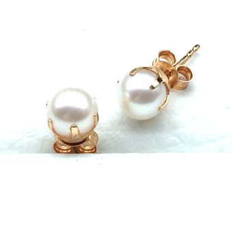 Kuldkõrvarõngad-585 1.20g