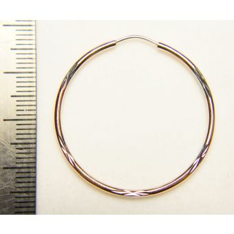 Kuldkõrvarõngad-585 2,88g