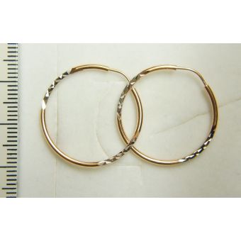 Kuldkõrvarõngad-585 1.46g