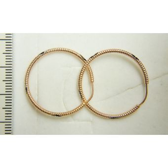 Kuldkõrvarõngad-585 1.76g