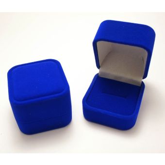 Väike kandiline sinine