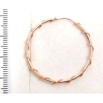 Kuldkõrvarõngad-585 2.05g