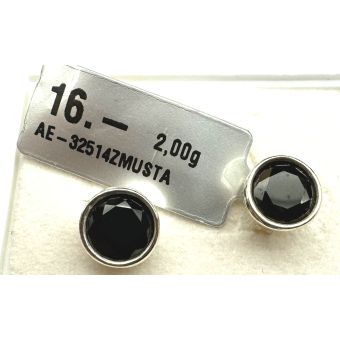 Hõbekõrvarõngad-925 2,00g