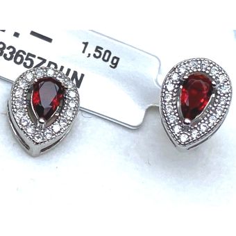 Hõbekõrvarõngad-925 1,50g