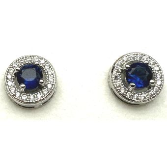 Hõbekõrvarõngad-925 1.60g