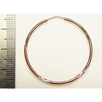 Kuldkõrvarõngad-585 2,85g