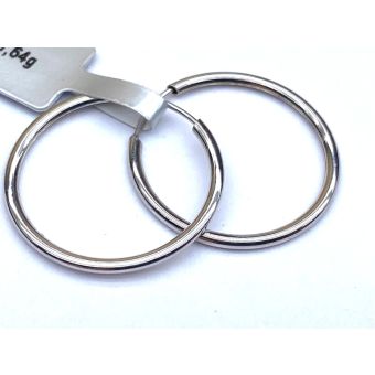 Hõbekõrvarõngad-925 õõnes 0,63g