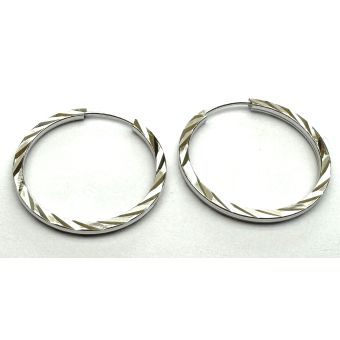 Hõbekõrvarõngad-925, Õõnes 1.03g