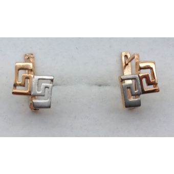 Kuldkõrvarõngad-585 2,71g