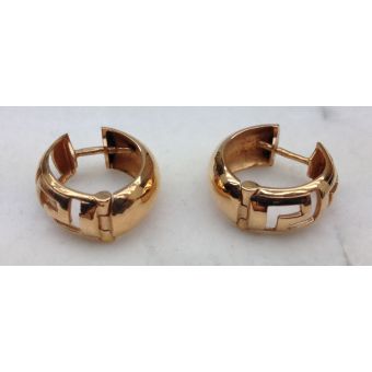 Kuldkõrvarõngad-585 5,26g