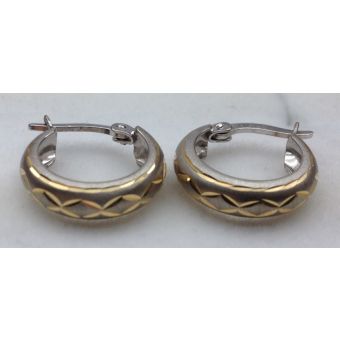 Kuldkõrvarõngad-585 1,60g