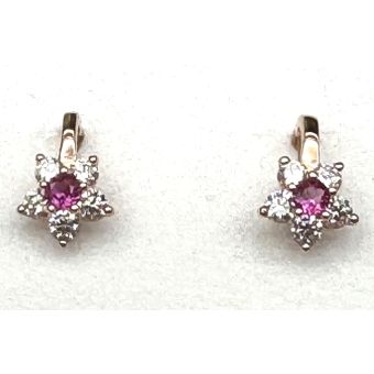 Kuldkõrvarõngad-585 1.20g