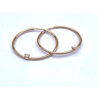 Kuldkõrvarõngad-585 ü22.44 1,20g