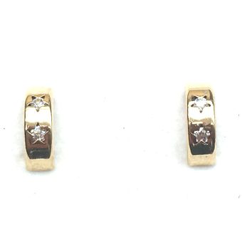 Kuldkõrvarõngad-585 0.30g