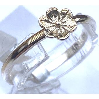 Hõbesõrmus-925  1,00g